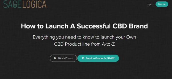 how-to-launch-a-successful-cbd-brand