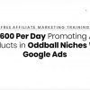 make-600-day-affiliate-with-google-ads