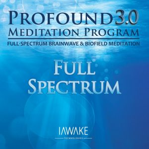 profound-meditation-program-review