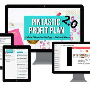 summer-tannhauser-pintastic-profit-plan