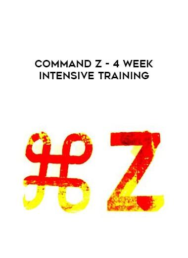 command-z-4-week-intensive-training