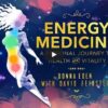 mindvalley-energy-medicine-donna-eden
