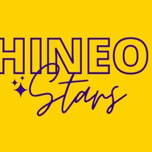 Shineon Stars – From 0 to Sales on Amazon In 30 Days