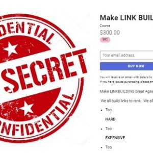 Holly Starks – Make LINK BUILDING Great Again