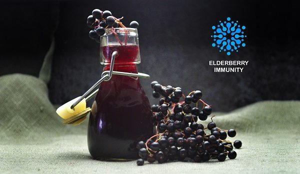 Elderberry Immunity - Silent Energy