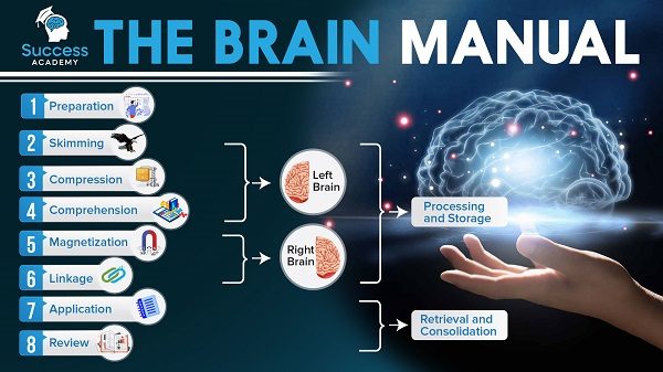 ultimate-brain-manual