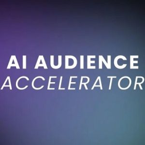 ole-lehmann-ai-audience-accelerator