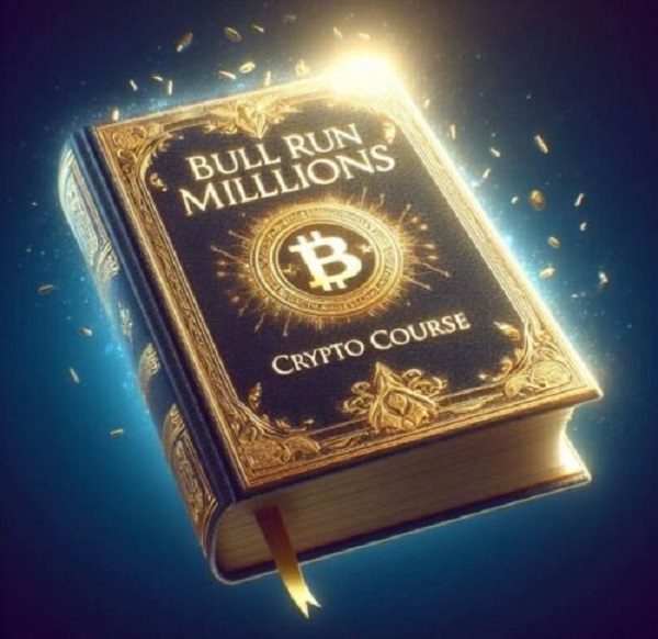 daniel-mcevoy-dans-bull-run-millions-crypto-course-on-the-planet