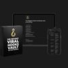 the-biggest-best-viral-hooks-vault-in-the-world-peter-visuals