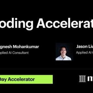 3-day-ai-coding-accelerator-vignesh-mohankumar